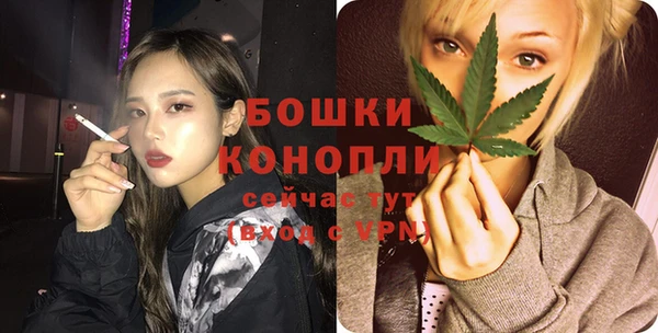 мдпв Володарск
