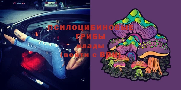 трава Снежинск