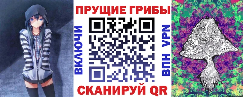 Галлюциногенные грибы прущие грибы  Зверево 
