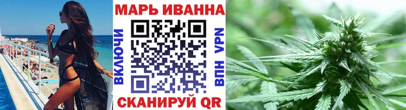 omg   Зверево  Конопля сатива 